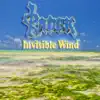Radek - Invisible Wind